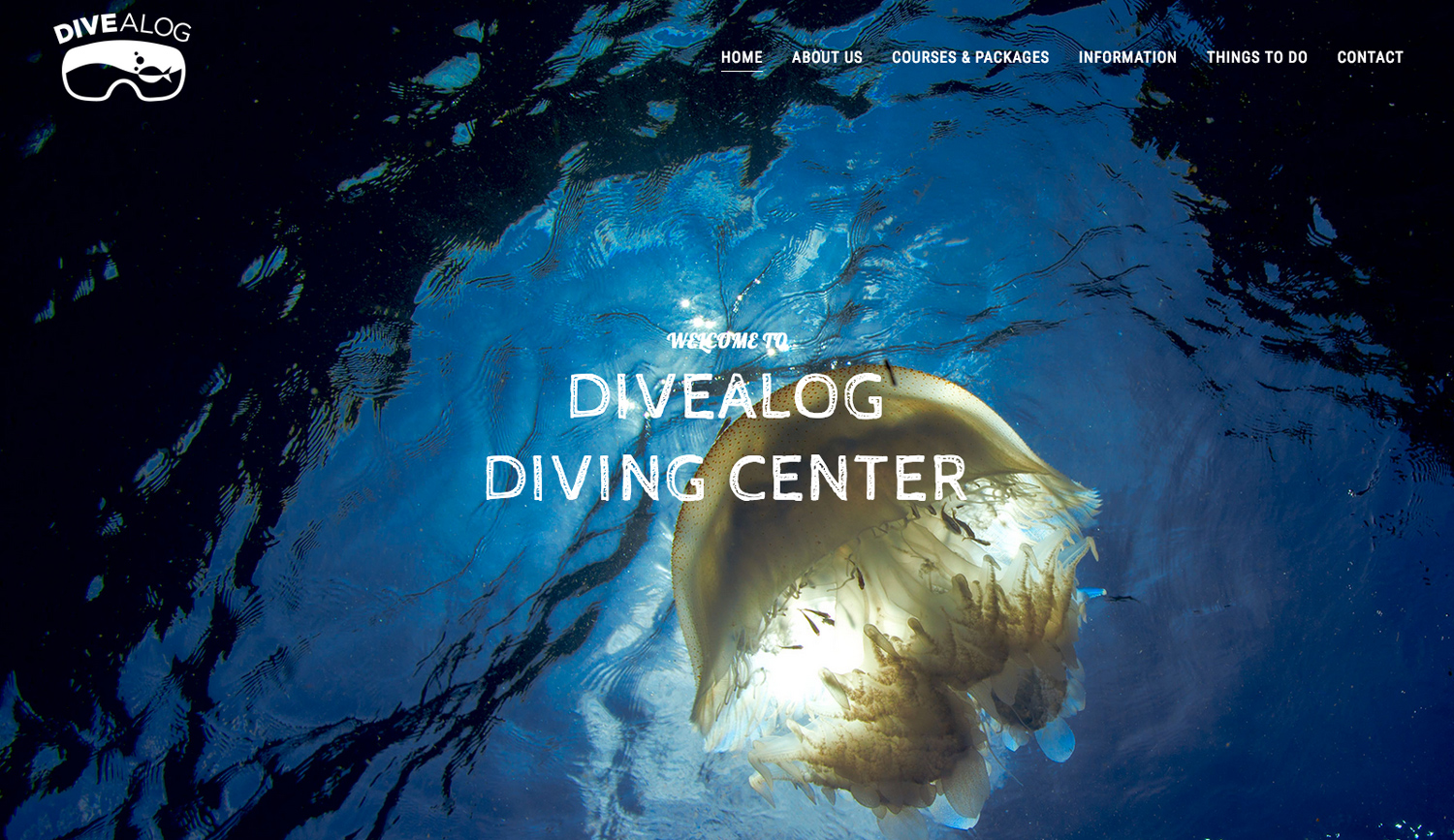 Divealog Website